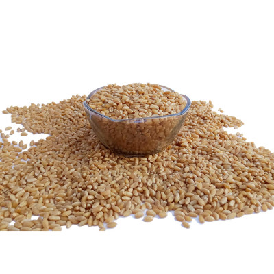 Wheat Seeds Organic